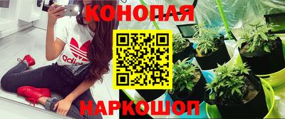 ECSTASY Рыбинск