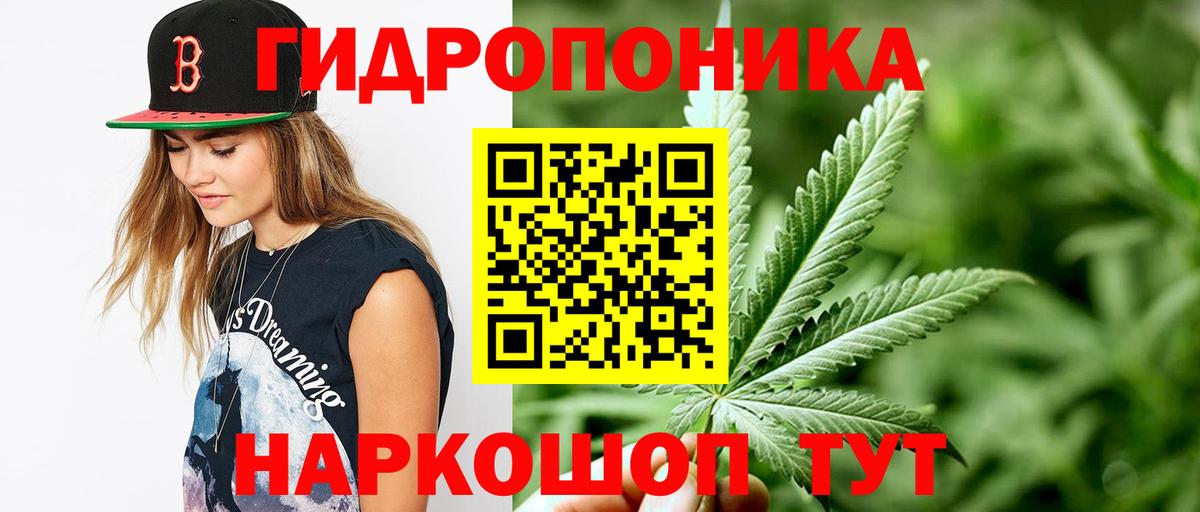 Марихуана конопля Саянск